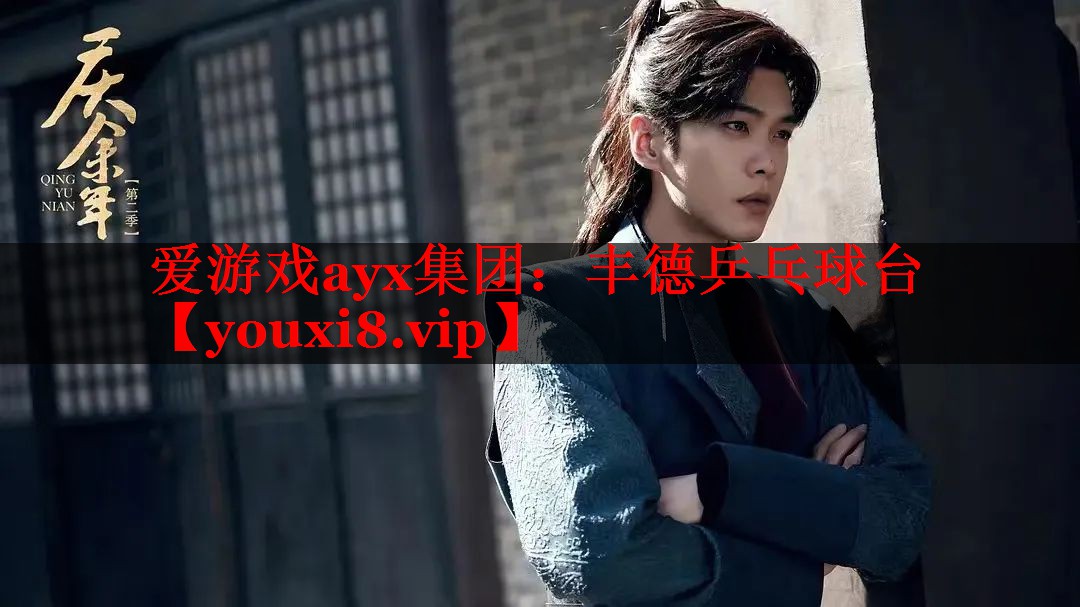 爱游戏ayx集团：丰德乒乓球台
