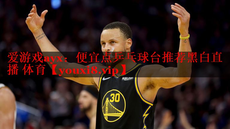 爱游戏ayx：便宜点乒乓球台推荐黑白直播 体育