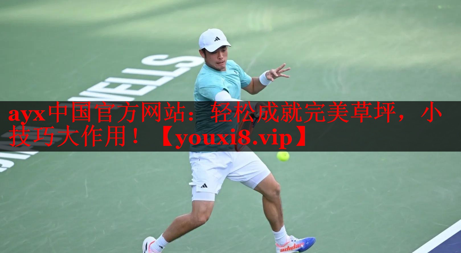 ayx中国官方网站：轻松成就完美草坪，小技巧大作用！