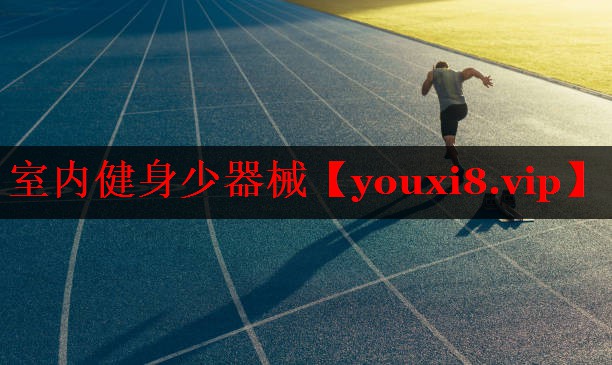 室内健身少器械