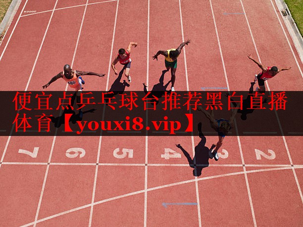 便宜点乒乓球台推荐黑白直播 体育