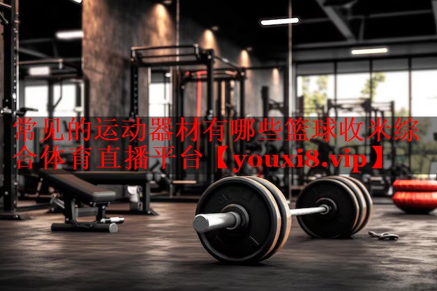 常见的运动器材有哪些篮球收米综合体育直播平台
