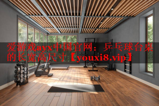 爱游戏ayx中国官网：乒乓球台桌的长宽高尺寸