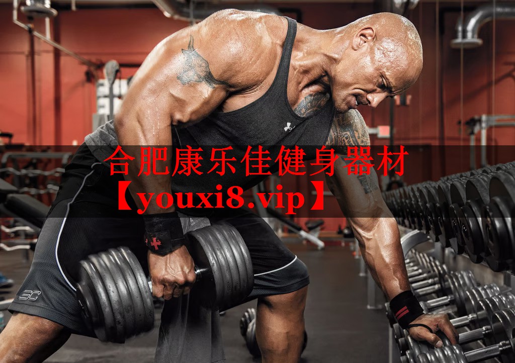 合肥康乐佳健身器材