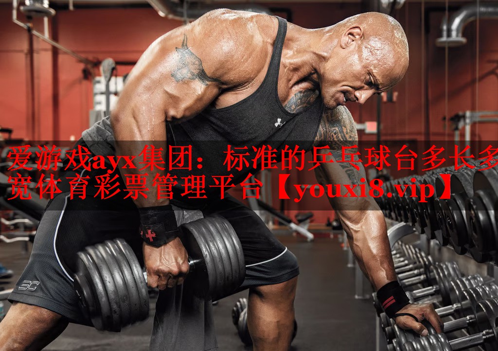 爱游戏ayx集团：标准的乒乓球台多长多宽体育彩票管理平台