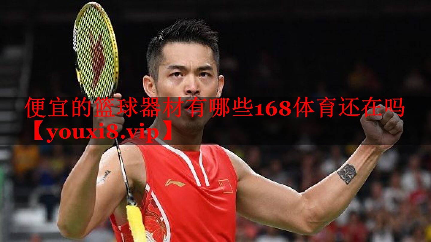 便宜的篮球器材有哪些168体育还在吗