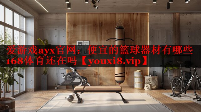 爱游戏ayx官网：便宜的篮球器材有哪些168体育还在吗