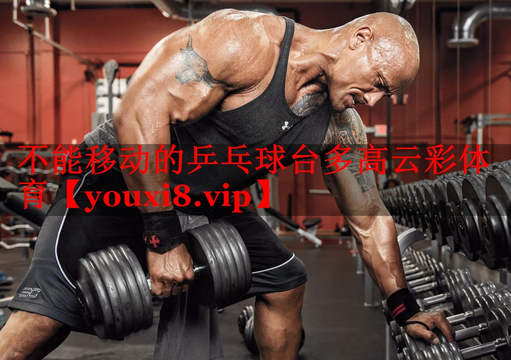 不能移动的乒乓球台多高云彩体育