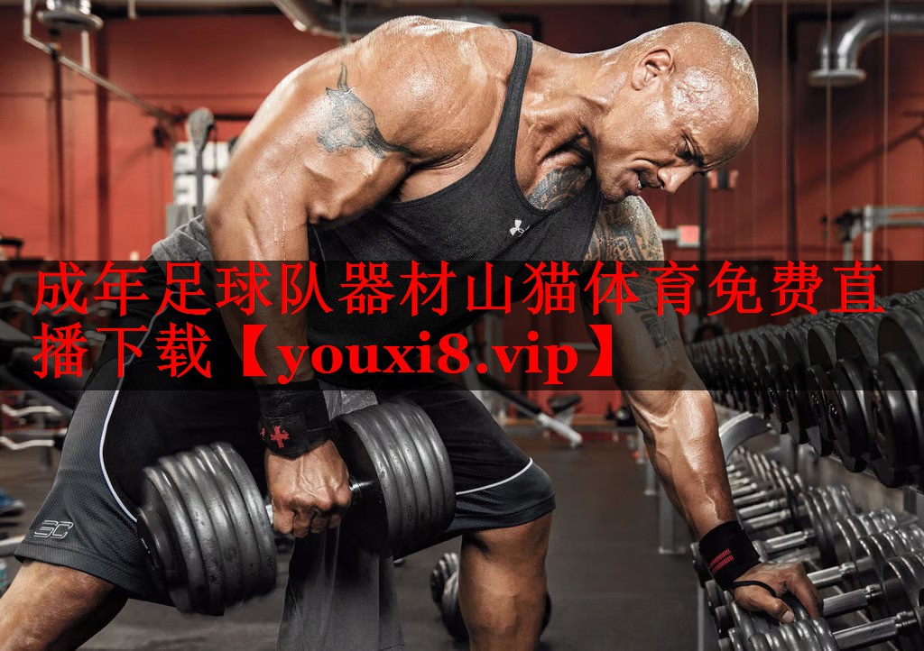 成年足球队器材山猫体育免费直播下载
