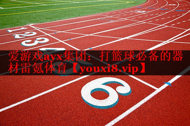 爱游戏ayx集团：打篮球必备的器材雷氪体育