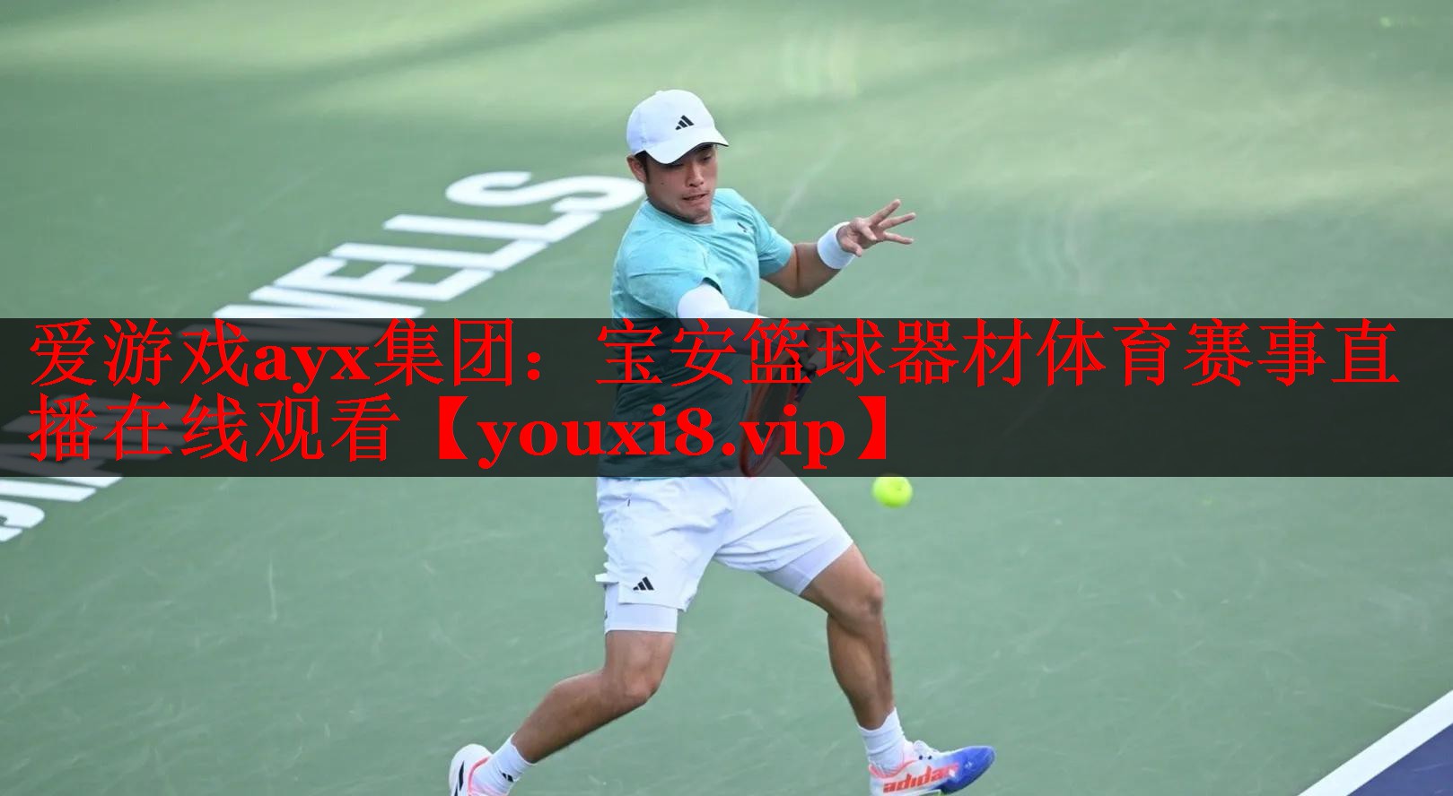爱游戏ayx集团：宝安篮球器材体育赛事直播在线观看