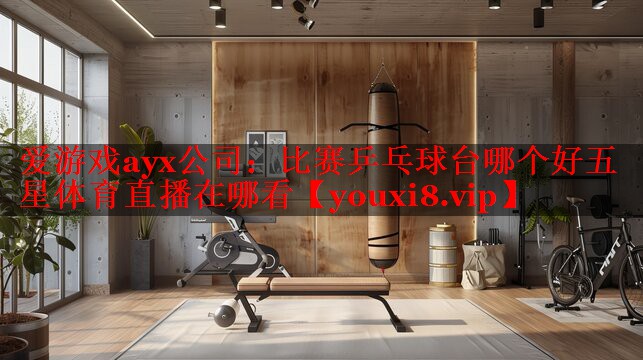 爱游戏ayx公司：比赛乒乓球台哪个好五星体育直播在哪看