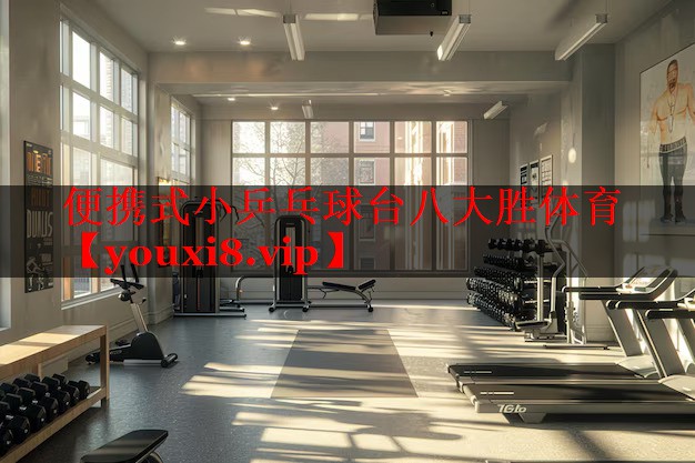 便携式小乒乓球台八大胜体育