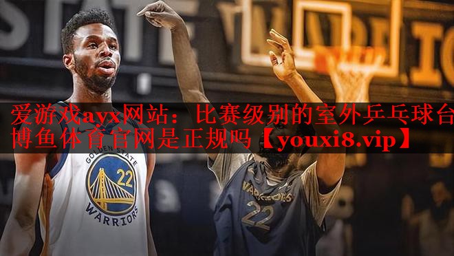 爱游戏ayx网站：比赛级别的室外乒乓球台博鱼体育官网是正规吗