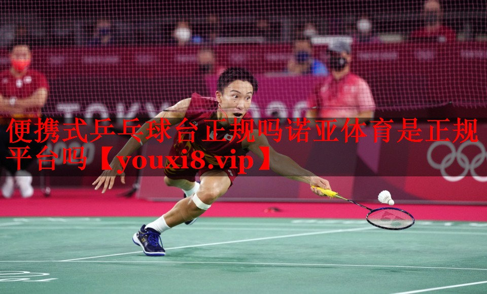 便携式乒乓球台正规吗诺亚体育是正规平台吗