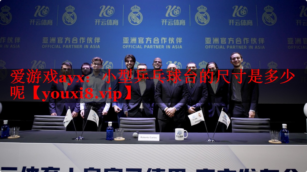 爱游戏ayx：小型乒乓球台的尺寸是多少呢