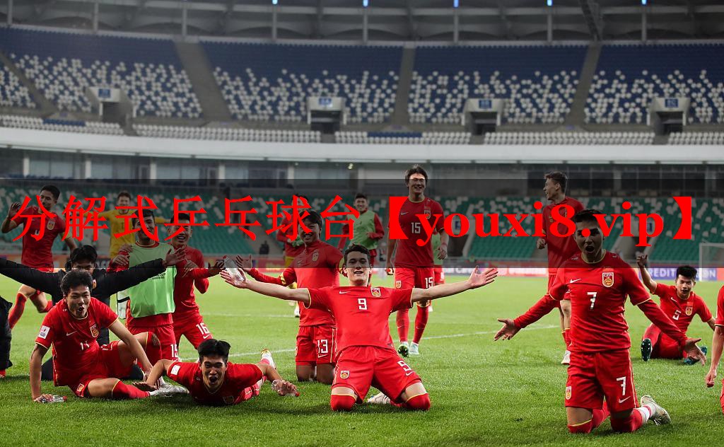 分解式乒乓球台 分解式乒乓球台