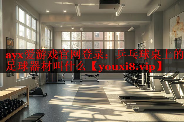 乒乓球桌上的足球器材叫什么 乒乓球桌上的足球器材叫什么