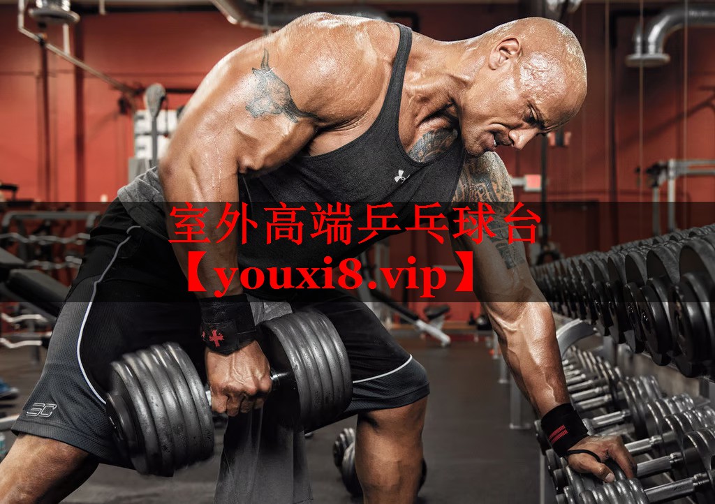 室外高端乒乓球台 室外高端乒乓球台
