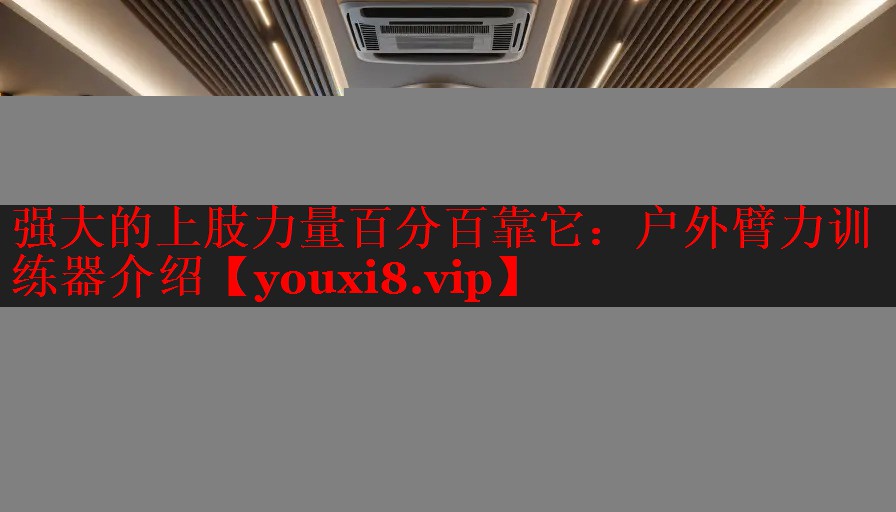 强大的上肢力量百分百靠它:户外臂力训练器介绍 强大的上肢力量百分百靠它:户外臂力训练器介绍