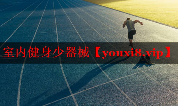 室内健身少器械 室内健身少器械