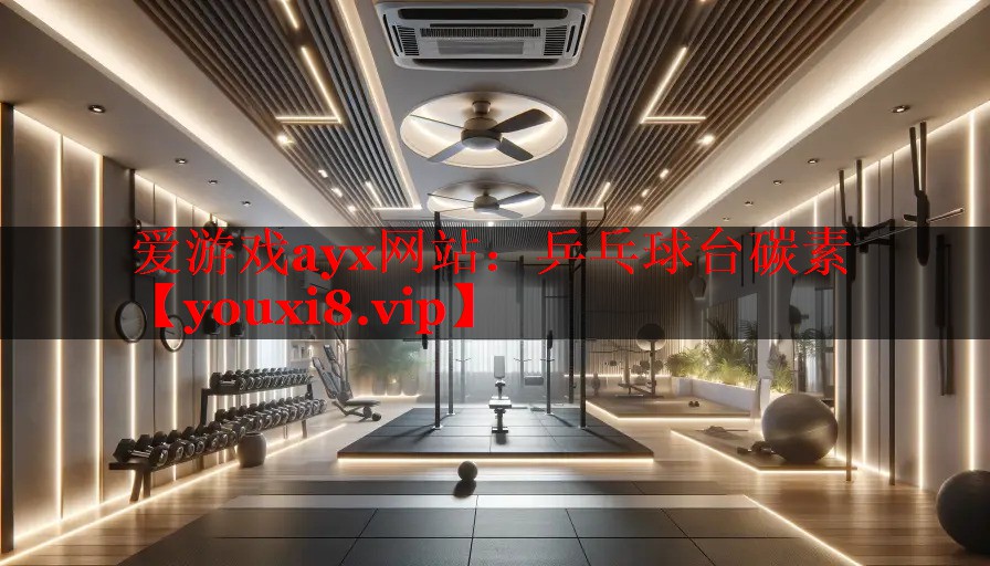 乒乓球台碳素 乒乓球台碳素