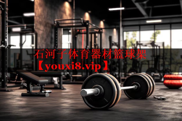 石河子体育器材篮球架 石河子体育器材篮球架