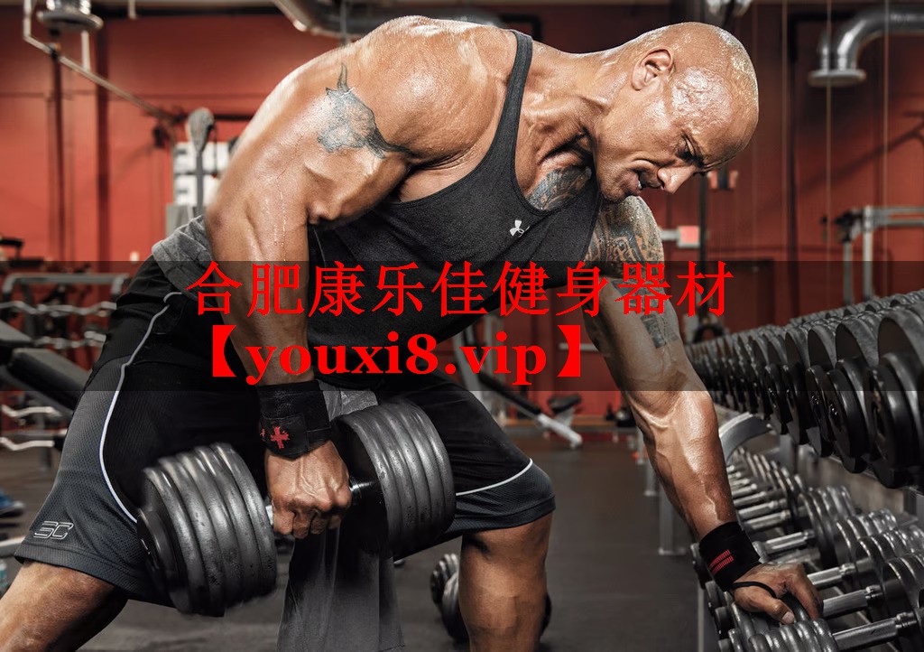 合肥康乐佳健身器材 合肥康乐佳健身器材