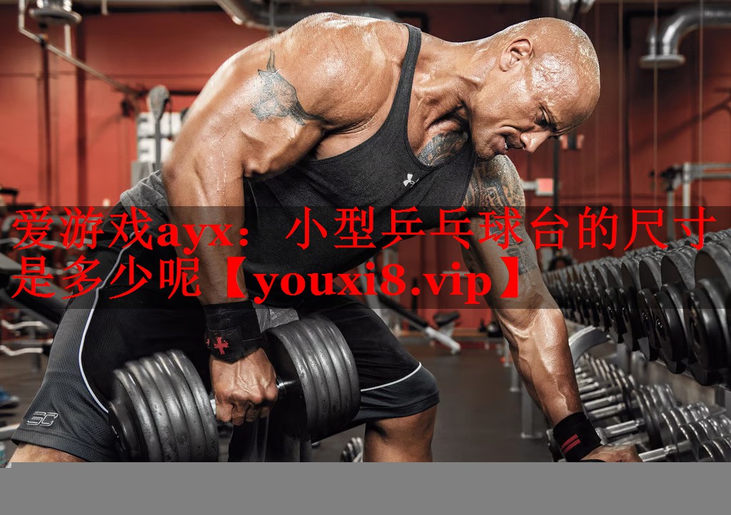 小型乒乓球台的尺寸是多少呢