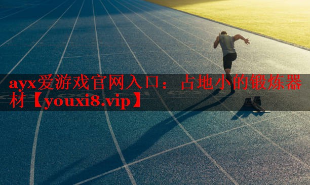 占地小的锻炼器材